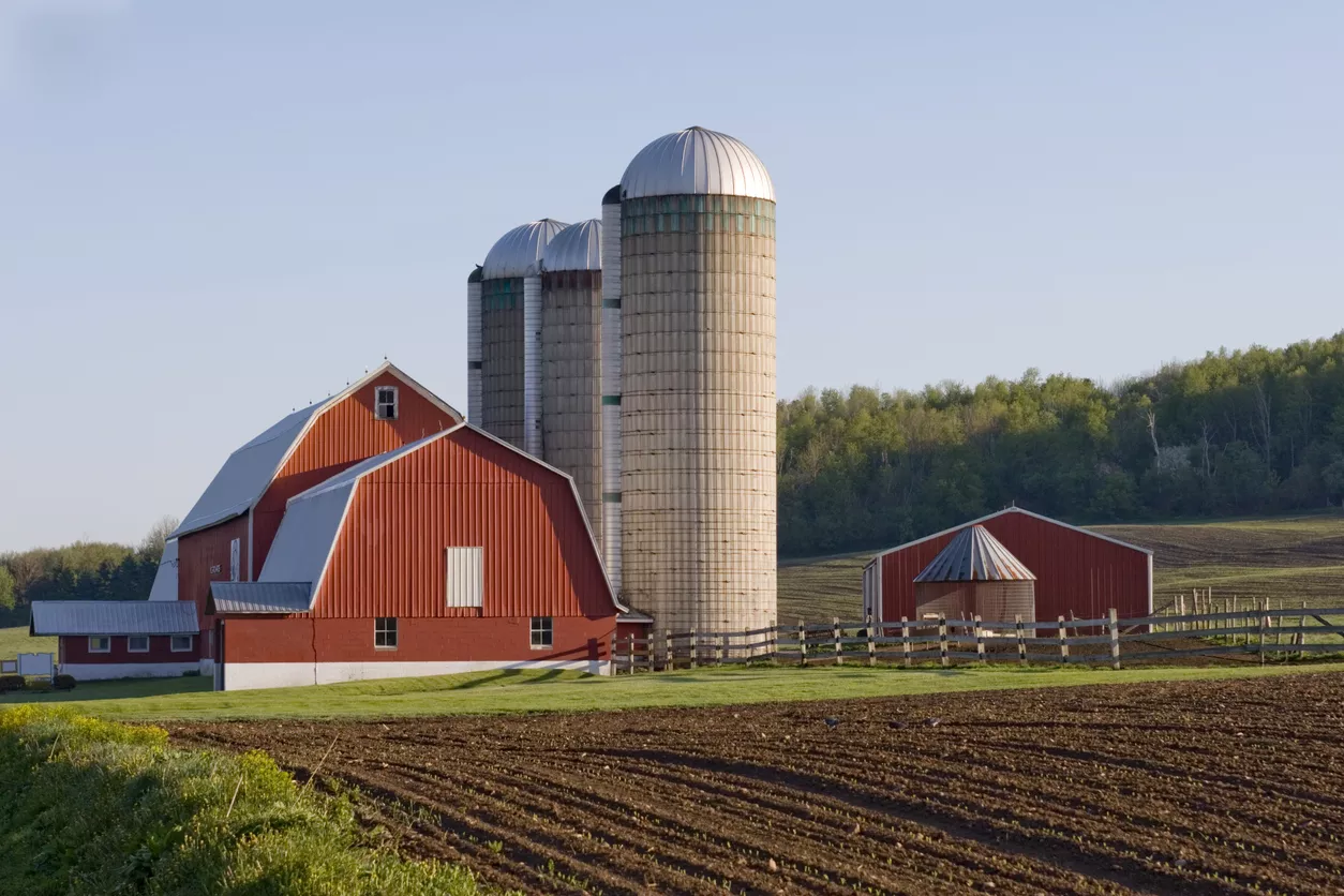 Ranch & Farm