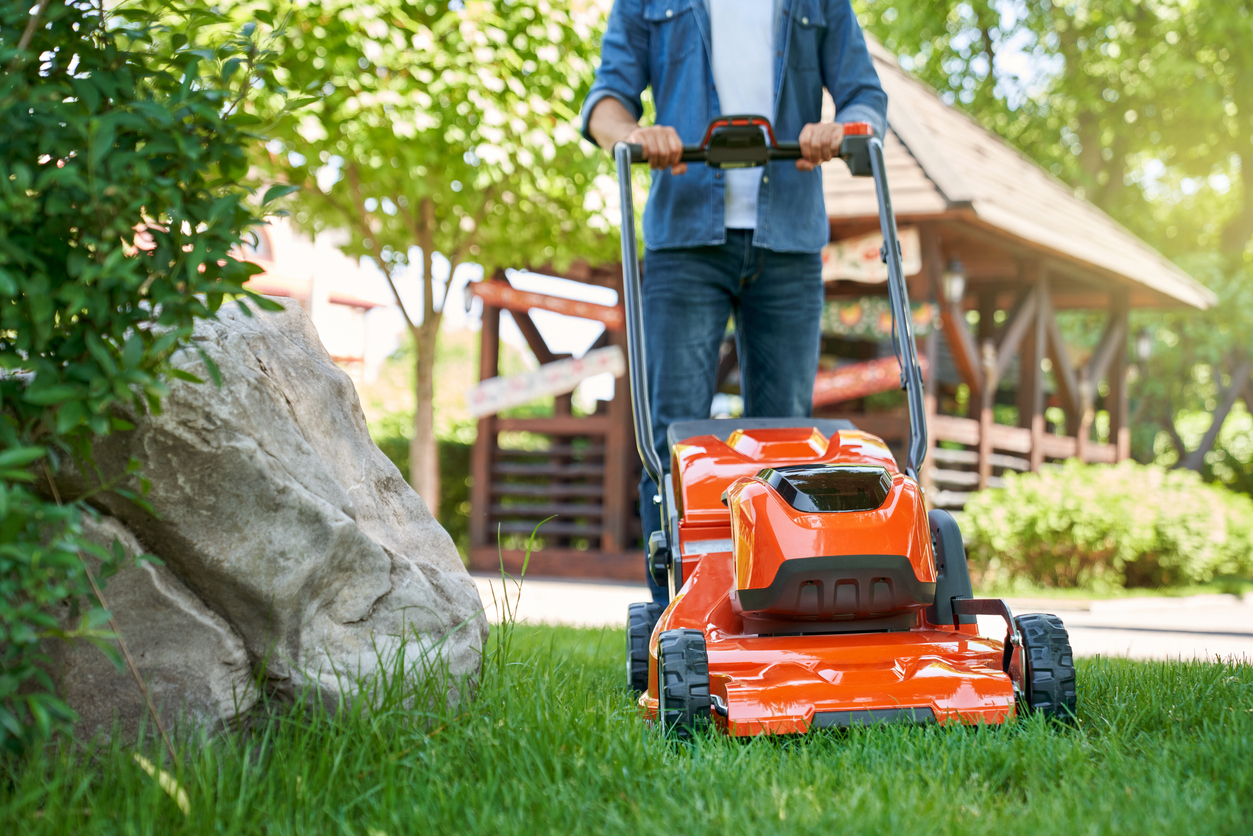 Lawn & Garden
