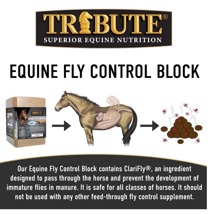 TRIBUTE Fly Control Block 33 Lbs Runnings tribute-fly-control-block-33-lbs-runnings