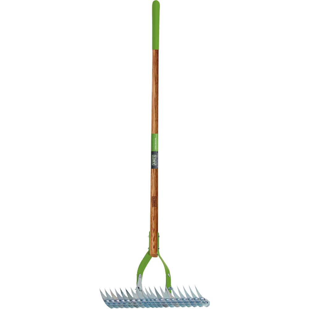 Dethatcher Rake