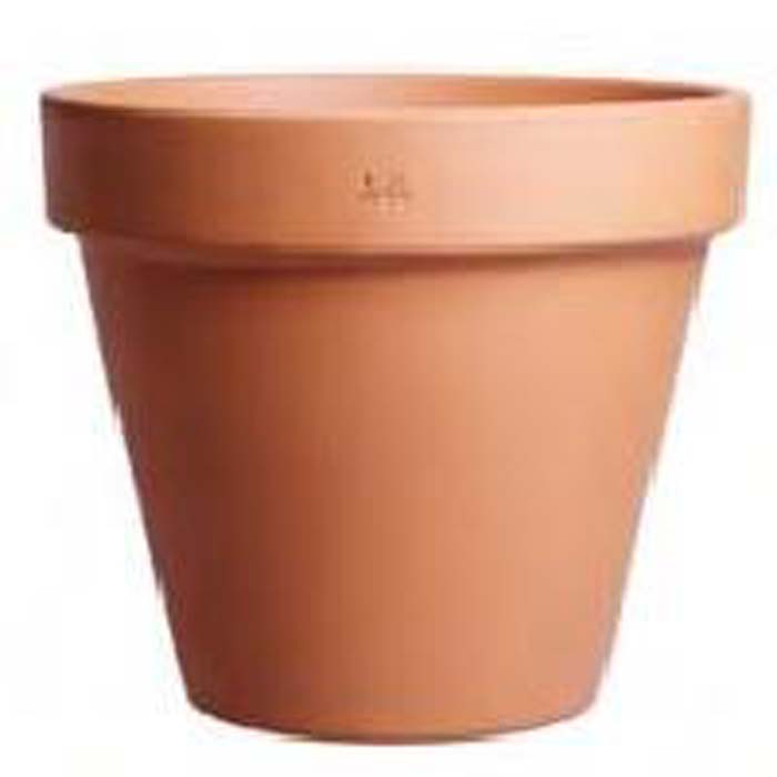 Degrea Terra Cotta Pot Standard 6"