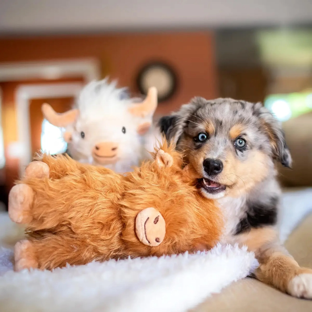 Multipet 8” Highland Cow Squeaker Dog Toy - 0000002296 - Runnings