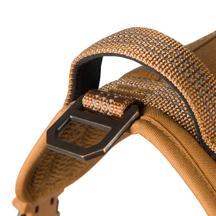 Carhartt Nylon Duck No Pull Dog Harness - Runnings