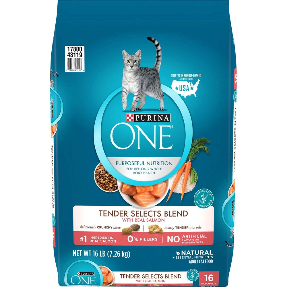 Purina® ONE® Tender Selects Blend with Real Salmon Dry Cat Food