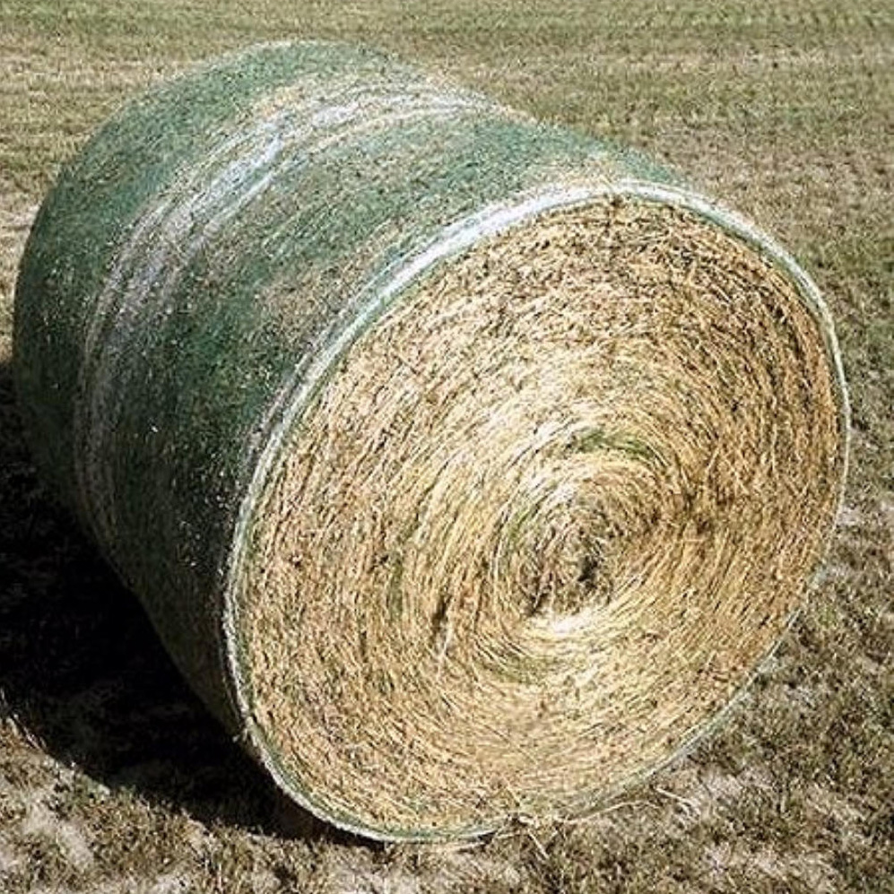 Net Wrap 64"X7000 Pritchett Green