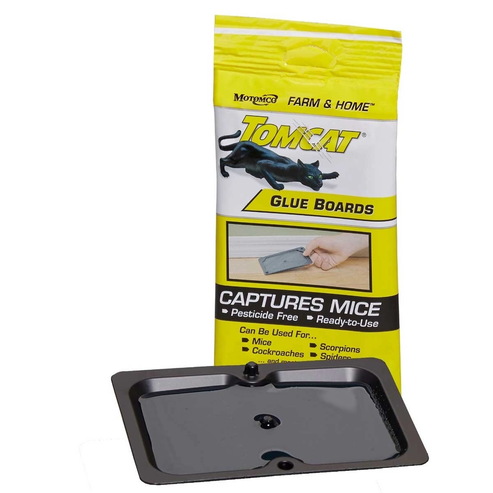 Motomco Tomcat® Mouse Glue Trap (4 Pack) - 0000000552 - Runnings
