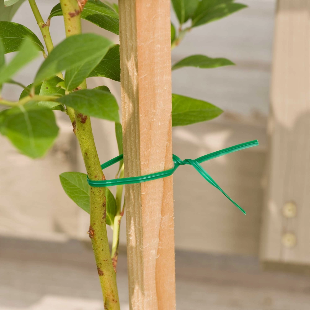 Gardener's Blue Ribbon® Wood Garden Stake Plant Support, 4' - Runnings