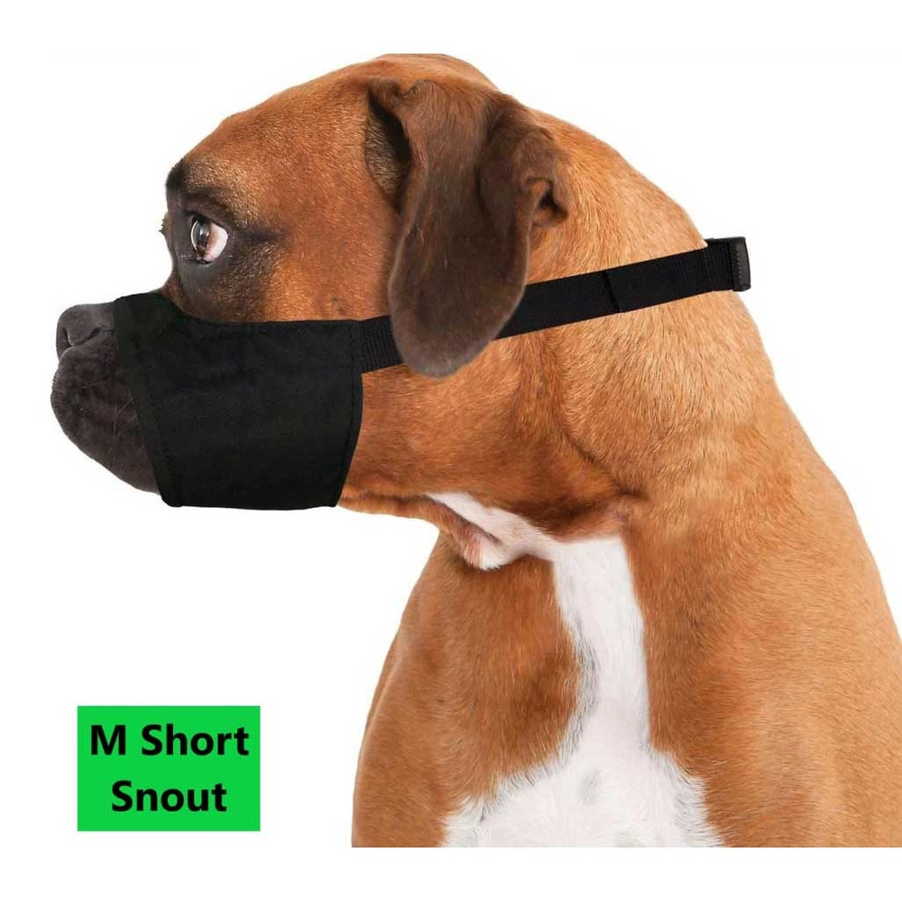 What Dogs Need To Be Muzzled