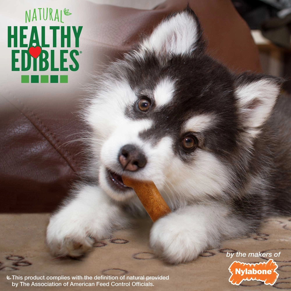 Are Healthy Edibles Good For Dogs