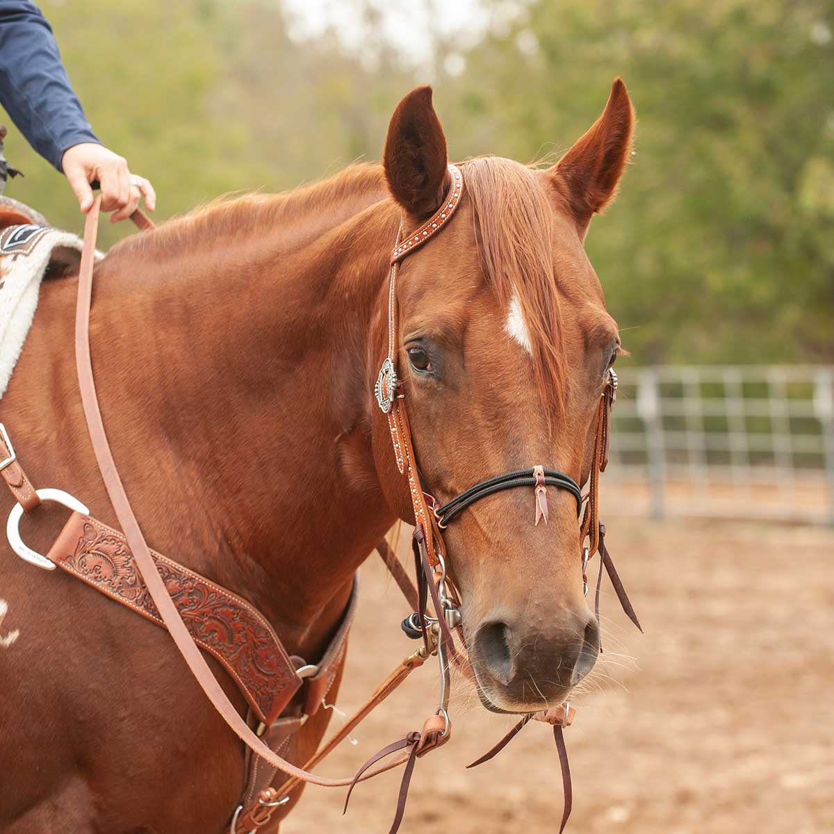 Martin Saddlery Roping Rein - Thumbnail 2