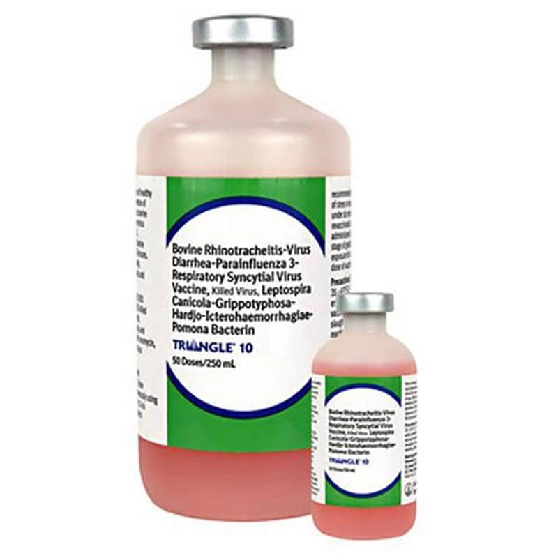 PediatricOphthalmologyandStrabismus 第三版 Boehringer Ingelheim Triangle® 10, 10 Dose - 0000006390 - Runnings