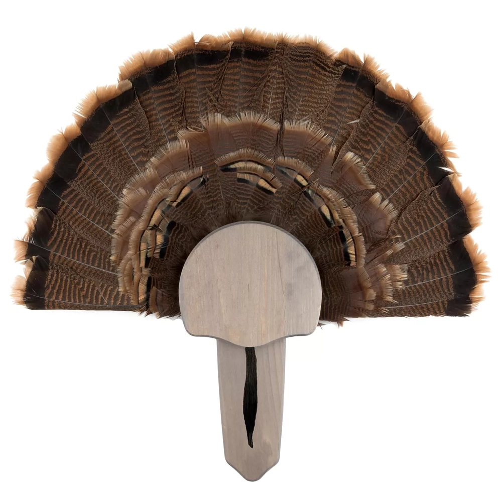 Walnut Hollow Country Rustic Pine Turkey Mount Kit - Runnings