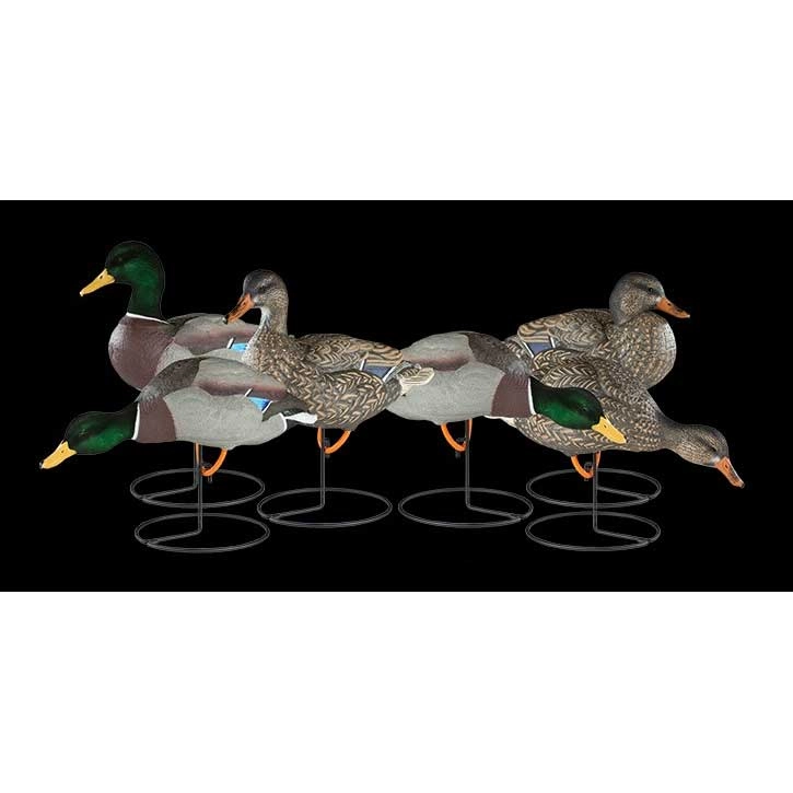 New Dakota Decoy XTreme Fully Flocked Mallard Duck Decoy 6Pack 100