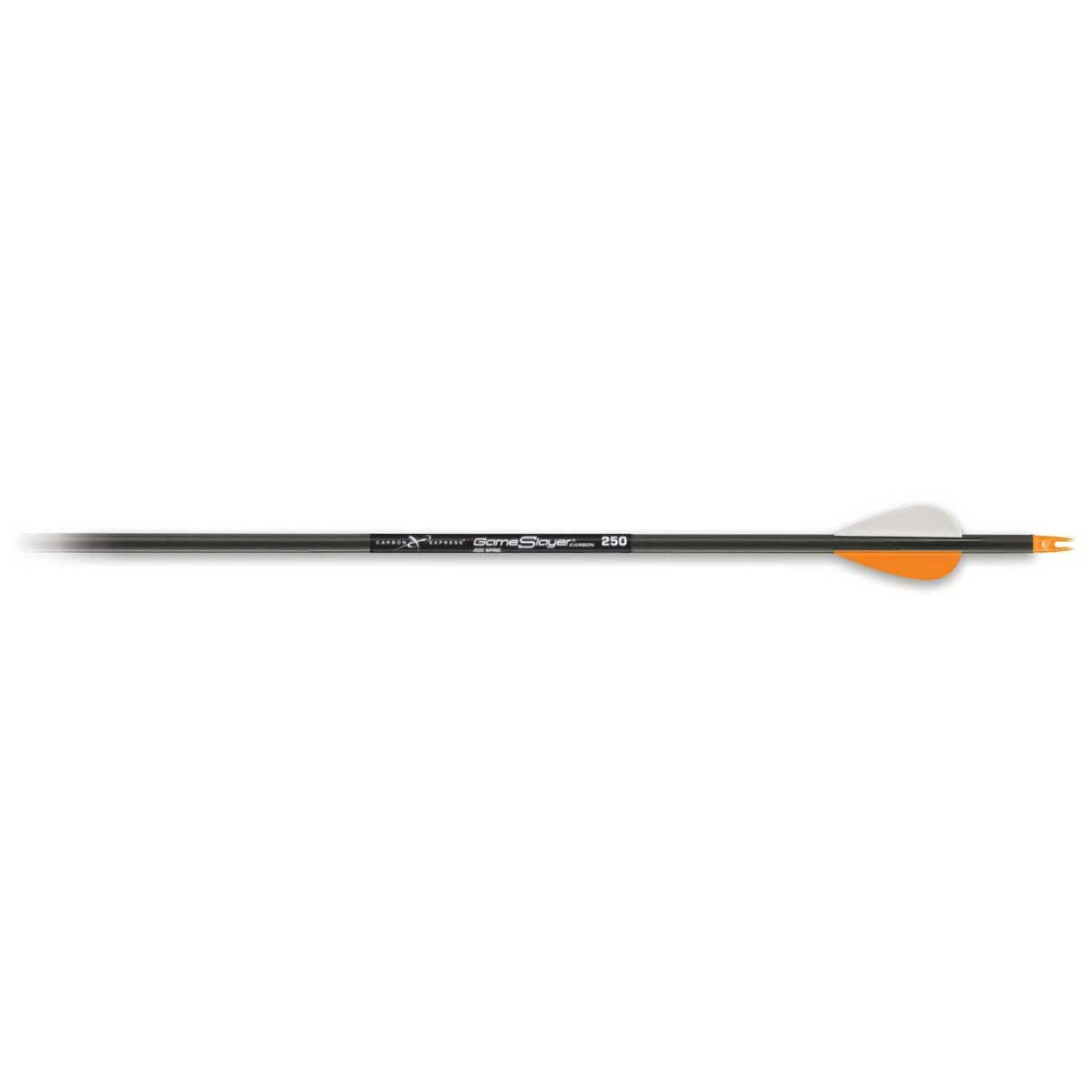 Carbon Express Thunder Express Arrow - 0000008287 - Runnings