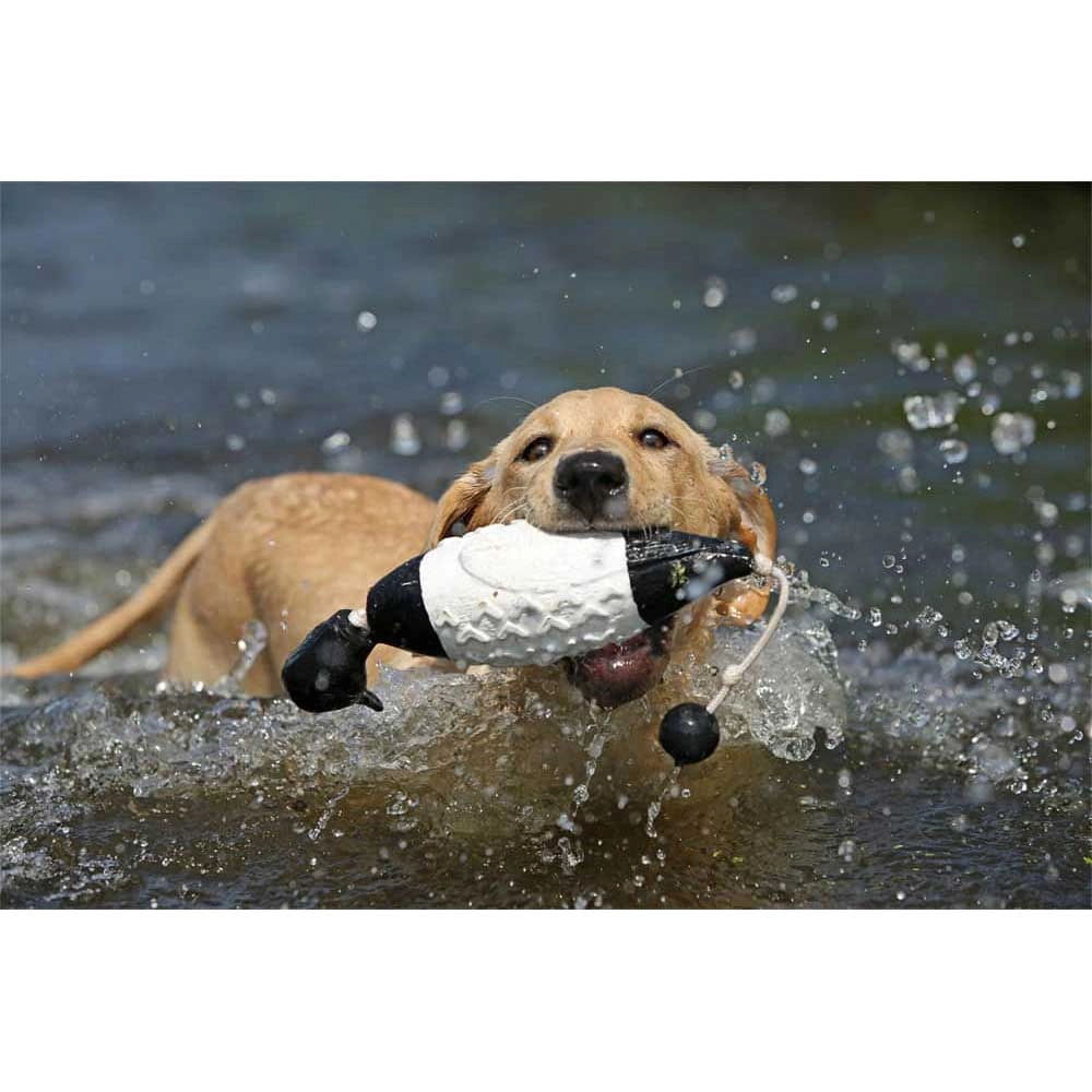 AVERY Sporting Dog Trainingsdummy - Sechskant 5,1cm