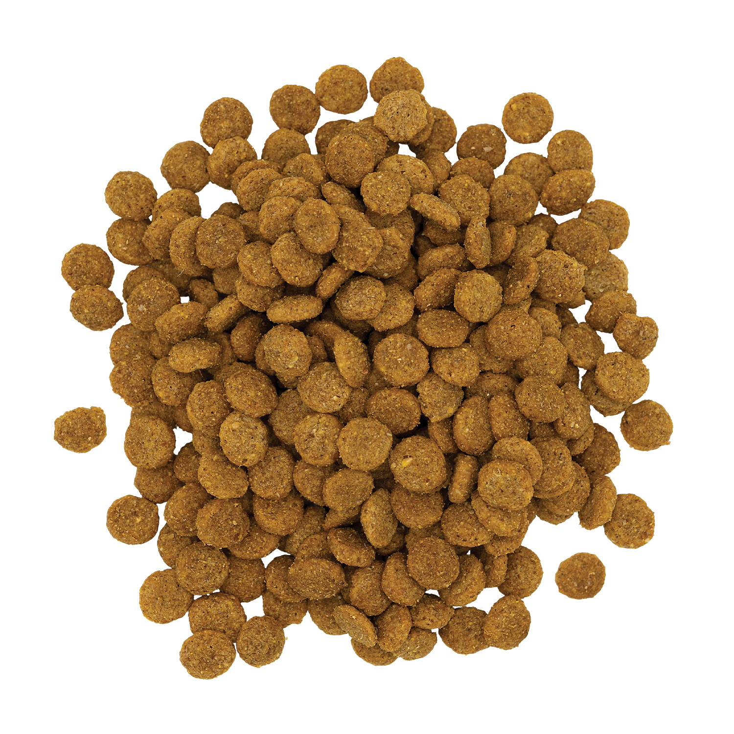 Kent Barn Cat 32 Lb. Chicken, Pork, & Fish Flavor All Ages Dry Cat Food View 4 of 5