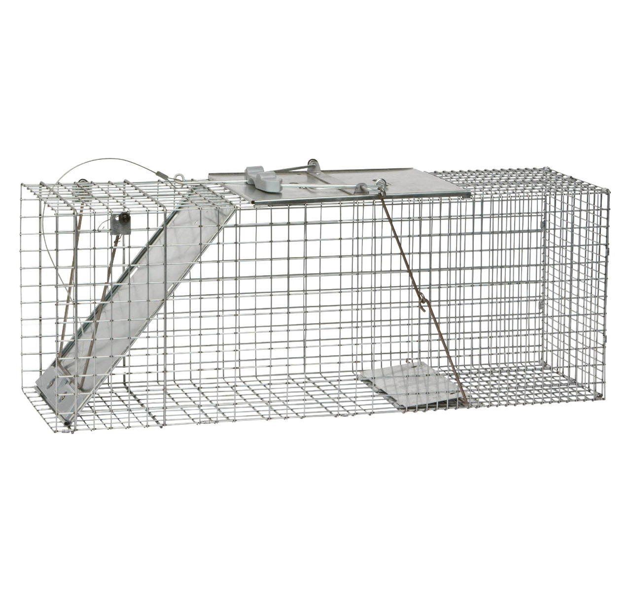 Havahart® 1-Door Easy Set Cage Trap for Raccoons, Stray Cats