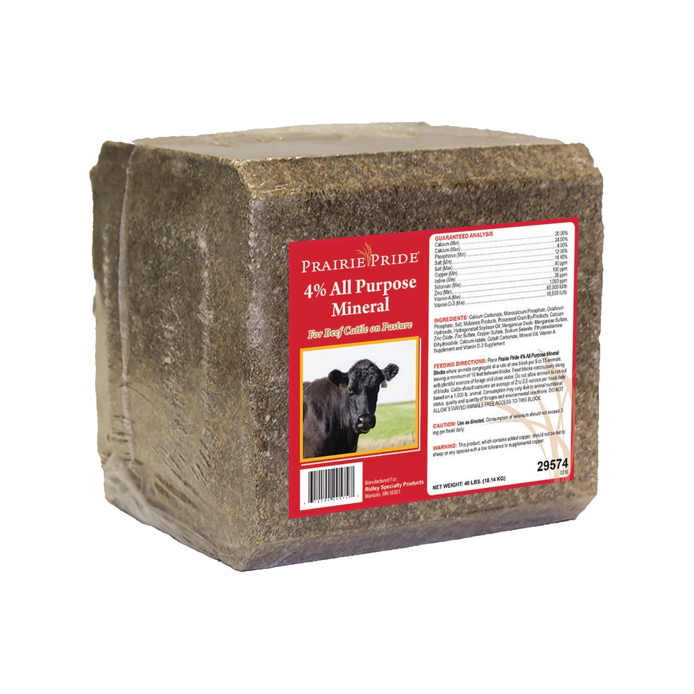 Do Dogs Need Mineral Blocks