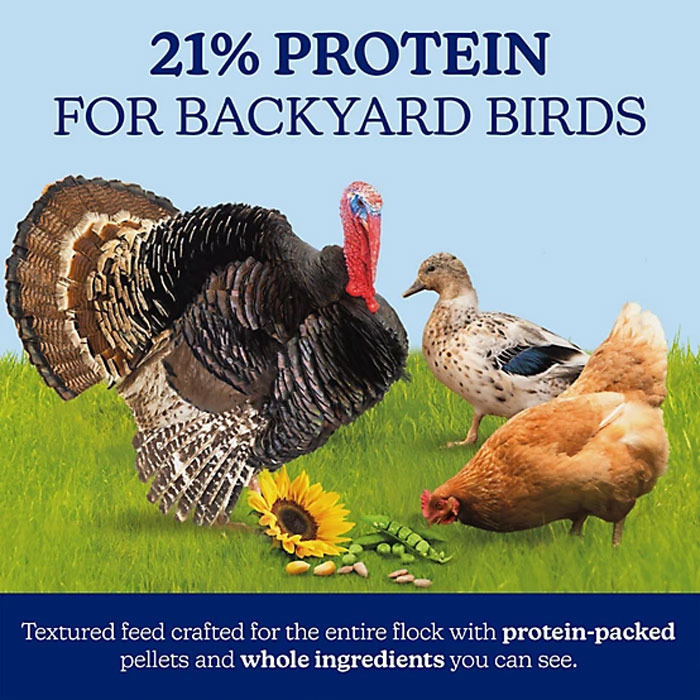 Nutrena NatureWise® Harvest Blend All Flock Textured Feed, 40 lb. View 1 of 5