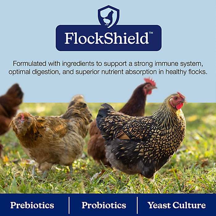 Nutrena NatureWise® Harvest Blend All Flock Textured Feed, 40 lb. View 4 of 5