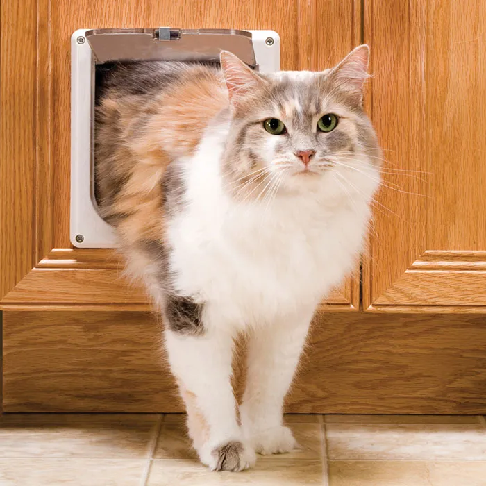 PetSafe® NEVER RUST Interior 2-Way Locking Cat Door - 0000000697