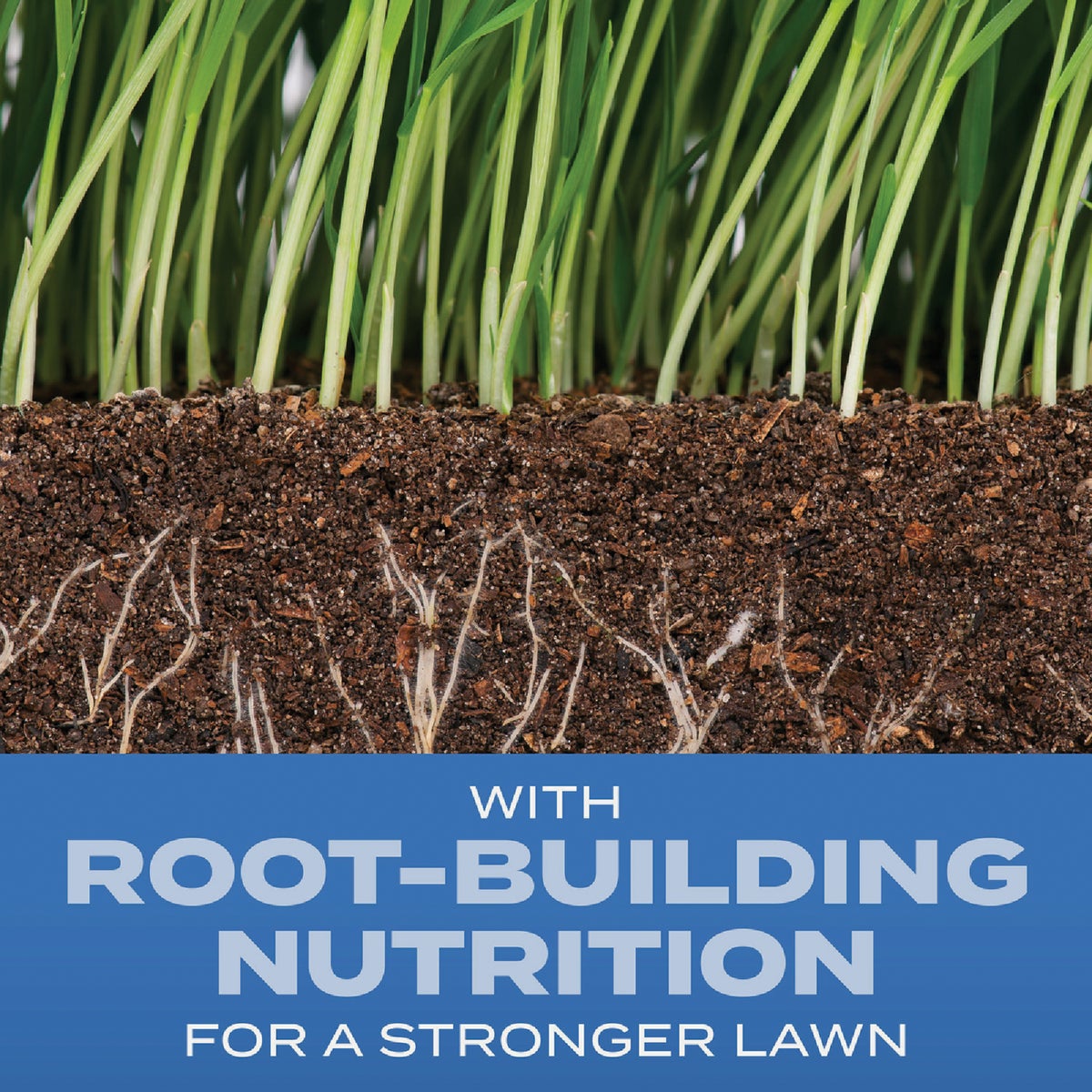 Scotts Turf Builder 5.6 Lb. 745 Sq. Ft. Sun & Shade Mix Grass Seed, Fertilizer, and Soil Improver Combination View 1 of 6