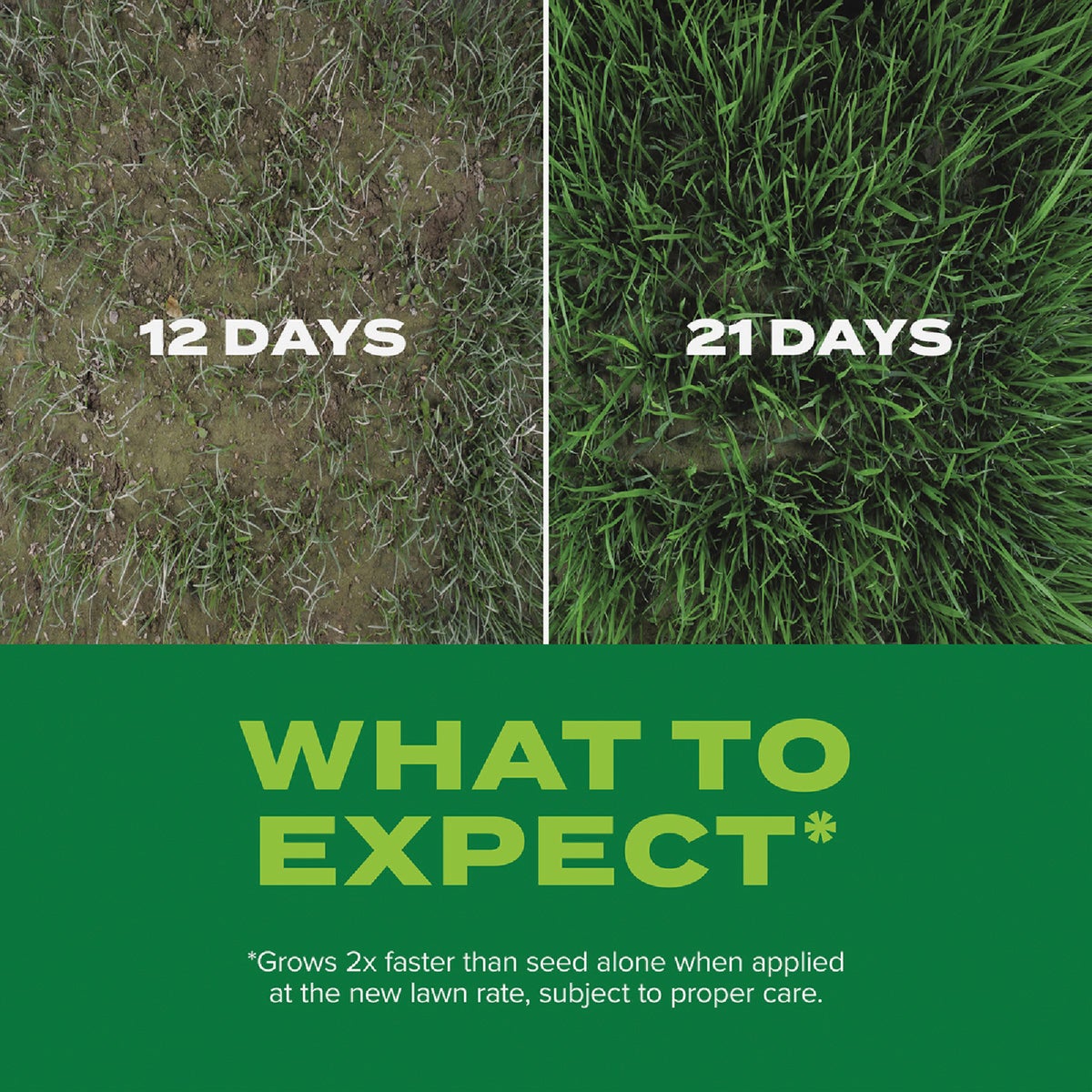 Scotts Turf Builder Rapid Grass 16 Lb. 8000 Sq. Ft. Sun & Shade Mix Grass Seed & Fertilizer Combination View 3 of 7