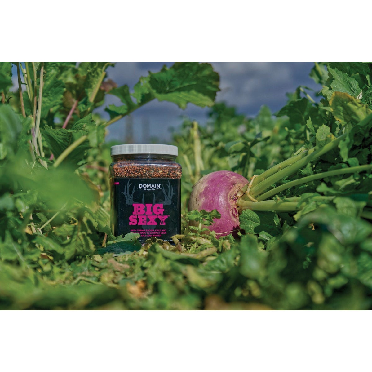 Domain Big Sexy 3 Lb. 1/2 Acre Food Plot Seed - 0000000564 - Runnings