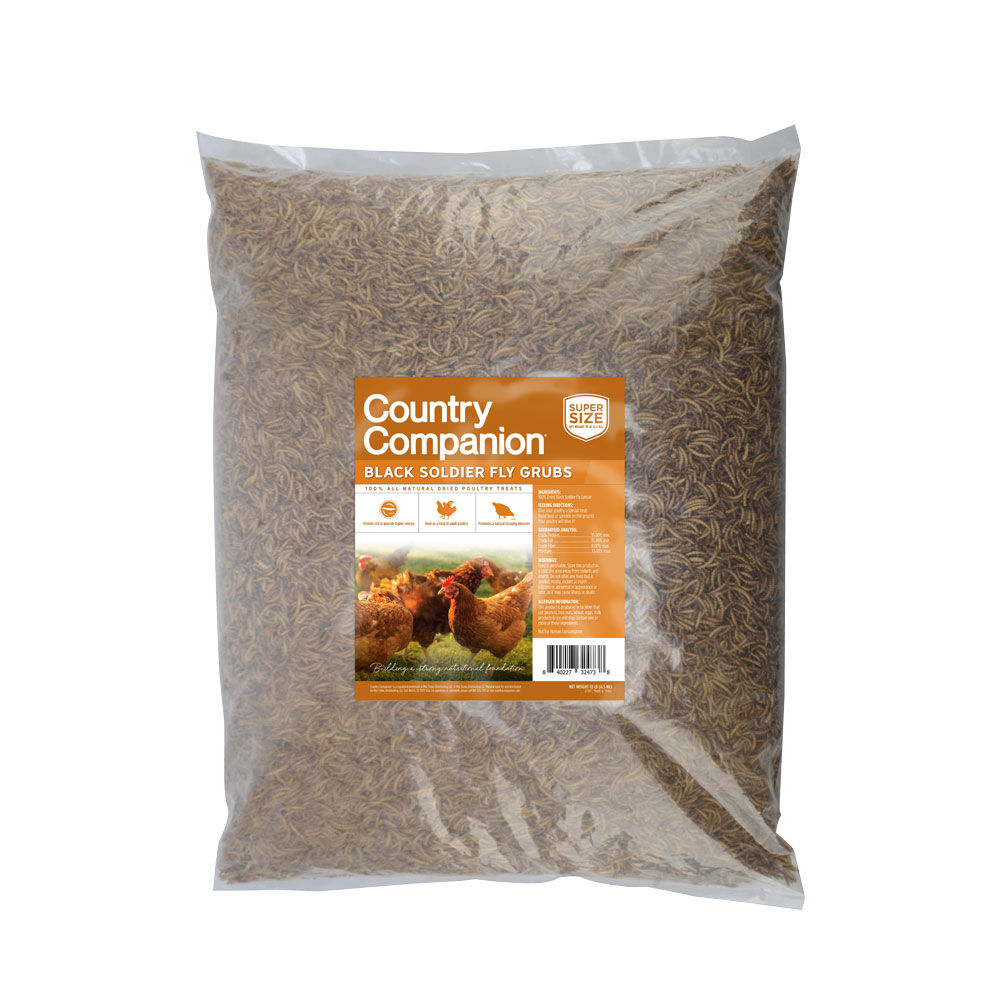 Country Companion Black Soldier Fly Grub Dried Poultry Treat, 10 lb.