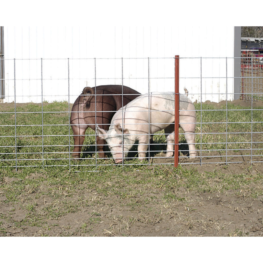 OK Brand Select Hog 34" x 16", 11 Line Panel