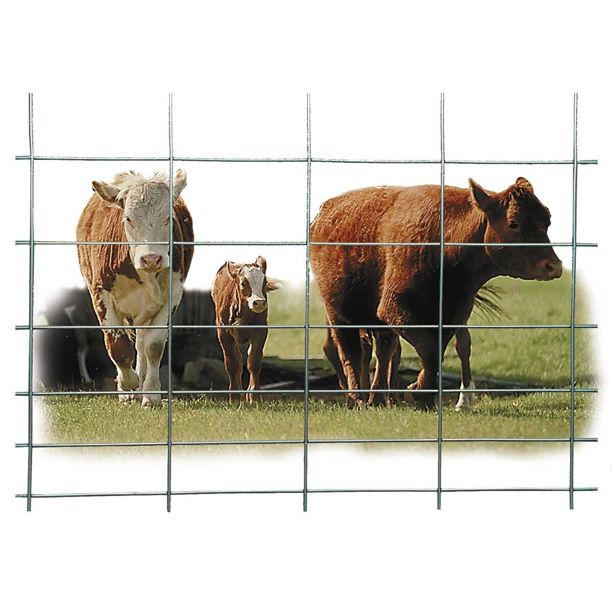 50” x 8’ Handy Cattle Panel