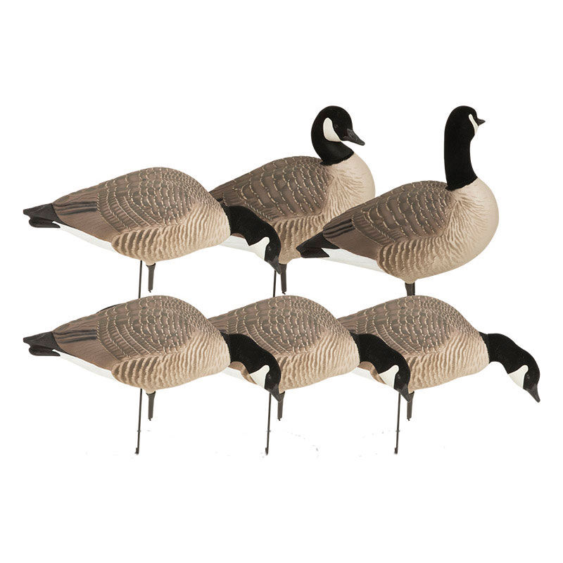 Avery HS Canada Goose Harvester Decoys, 6 pack