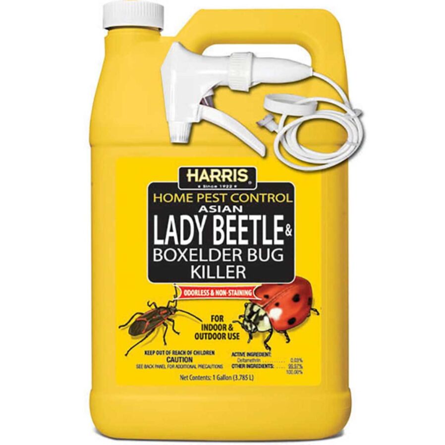 Harris HBXA-128 Beetle and Box Elder Bug Killer - Thumbnail 2