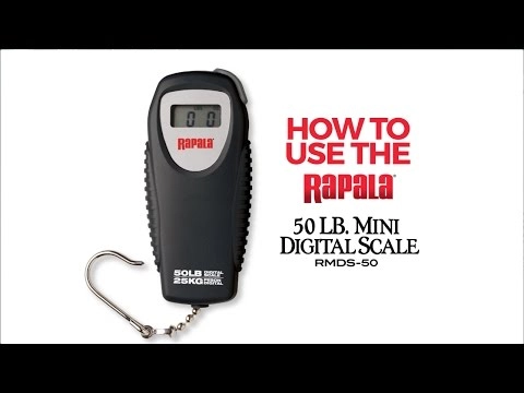 Rapala® Mini Digital Scale, 50 0000008257 Runnings