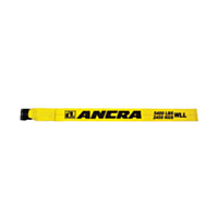 Ancra Cargo Winch Strap with Flat Hook - 4" X 30'