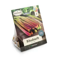 DeGroot Rhubarb 'Victoria', 2 count
