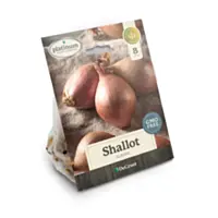 DeGroot Shallot Bulbs, 8 count