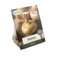 DeGroot Golden Cipollini Onion Sets, 60 count.