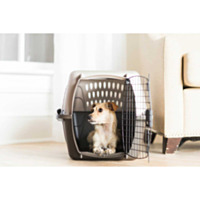 Petmate 2 Door Top Load Kennel, 24"