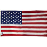 Valley Forge 3 Ft. x 5 Ft. Nylon American Flag & 6 Ft. Pole Kit