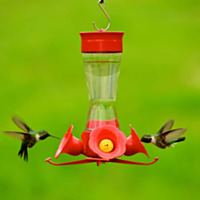 Perky-Pet® Pinch Waist Glass Hummingbird Feeder with Free Nectar