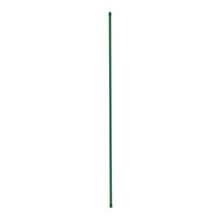 Gardener's Blue Ribbon® Sturdy Stake Plant Support - 4', Green