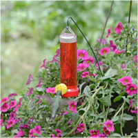 Perky-Pet® 3 Oz. Plastic Planter Hummingbird Feeder
