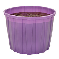 Nelson Performance 30 Cooked Tub, 200 lbs.