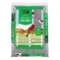 Country View Black Oil Sunflower, 10 lbs.