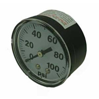Fimco 2" Dry Back Mount Gage, 100 lbs.