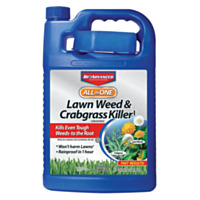 BioAdvanced All-In-One Concentrate Lawn Weed & Crabgrass Killer, 1 Gallon