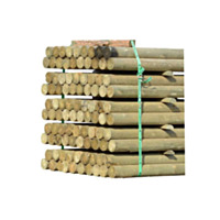 Forest Products Distributors, Inc. CCA Treated Fence Post, 4" x 8' - Blunt