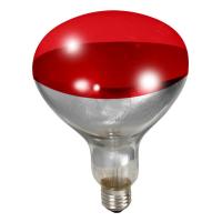 Little Giant 250 Watt Red Bulb For Brooder Lamp
