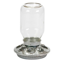 Little Giant® Mason Jar Baby Chick Feeder